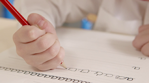 Spelling écriture & La lecture 20 Essuyez Feuilles de calcul avec stylo Learn To Write 
