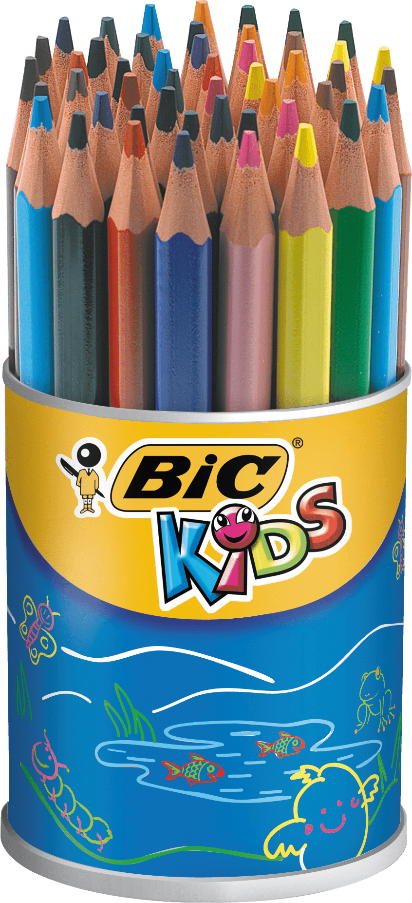 BIC Kids Evolution ECOlutions, Triangular Colouring Pencils, Ideal for  School, Assorted Colours, Pack of 12